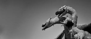 DRAGÓN