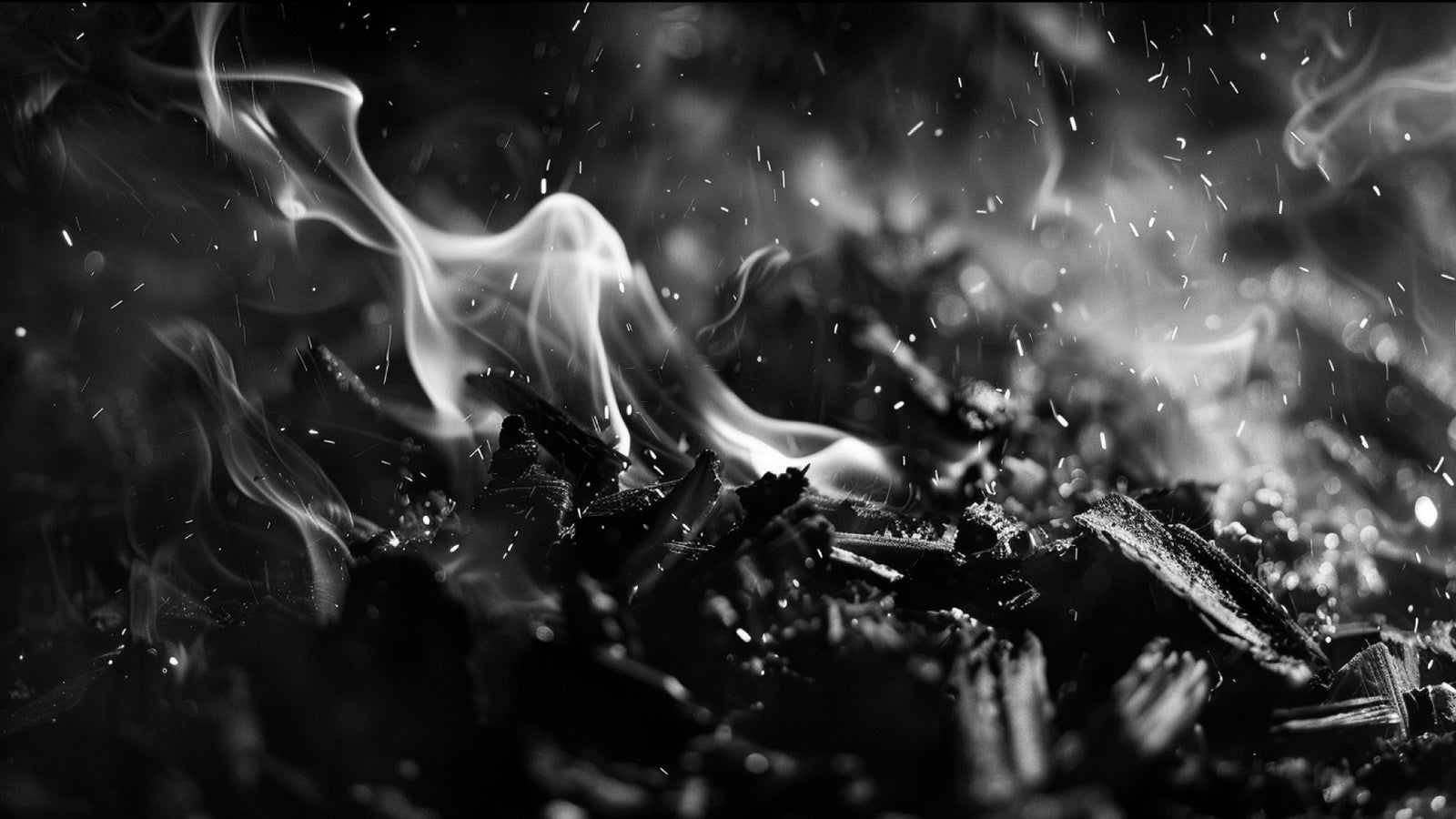 Eternal Selection pour Homme